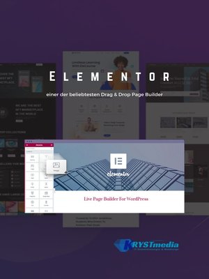 cover image of WordPress--Elementor
